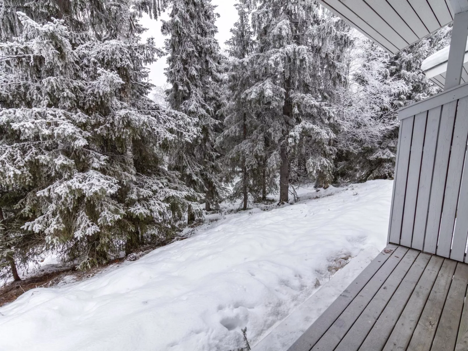 Rukan ankkuri-Binnen