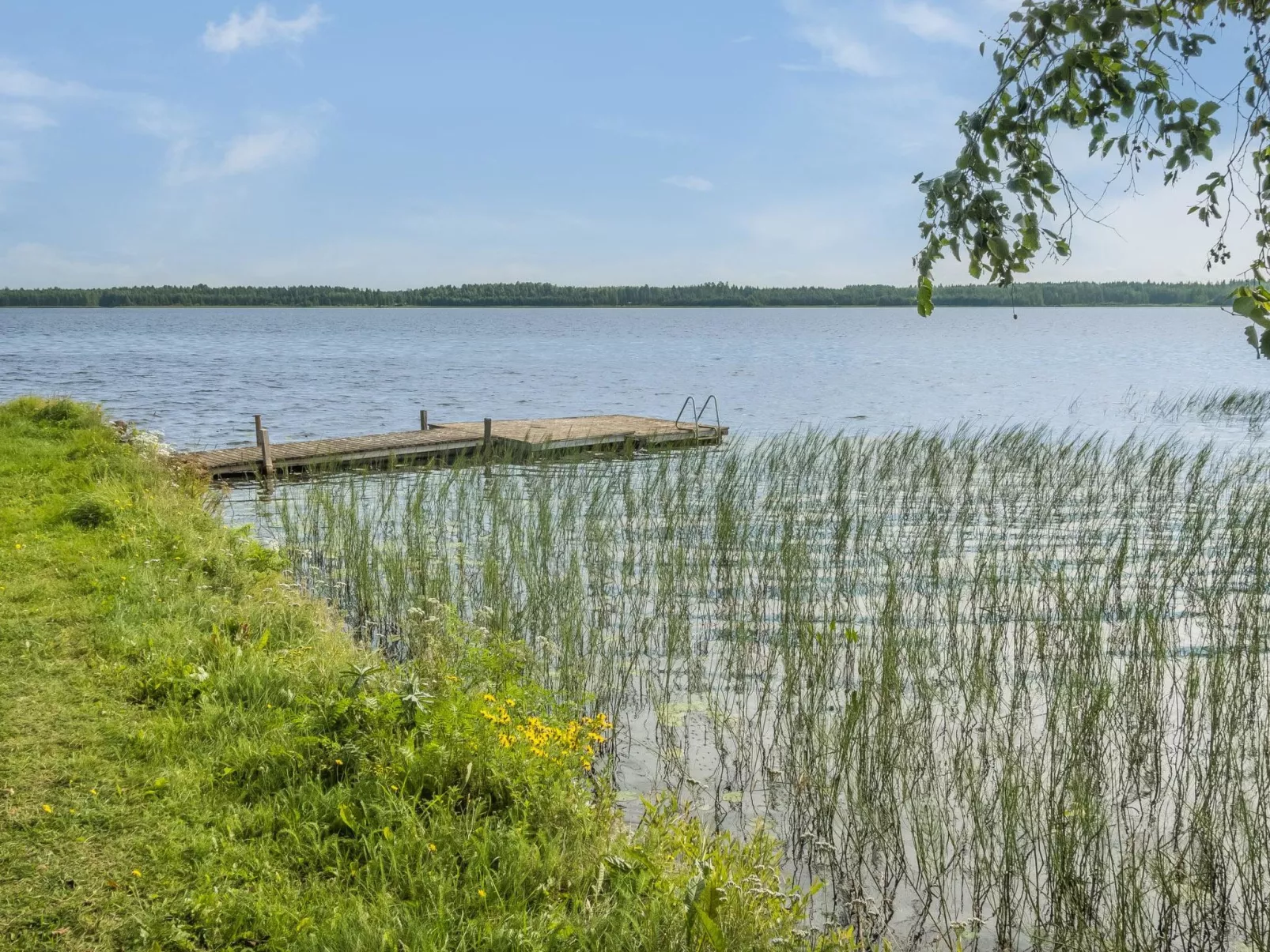 Mansikkaranta 1-Binnen