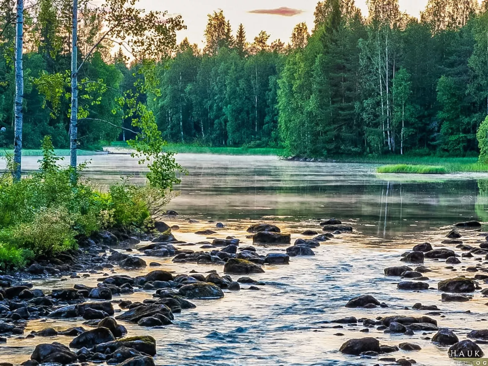 Koskisaari, vaikon loma 2-Binnen