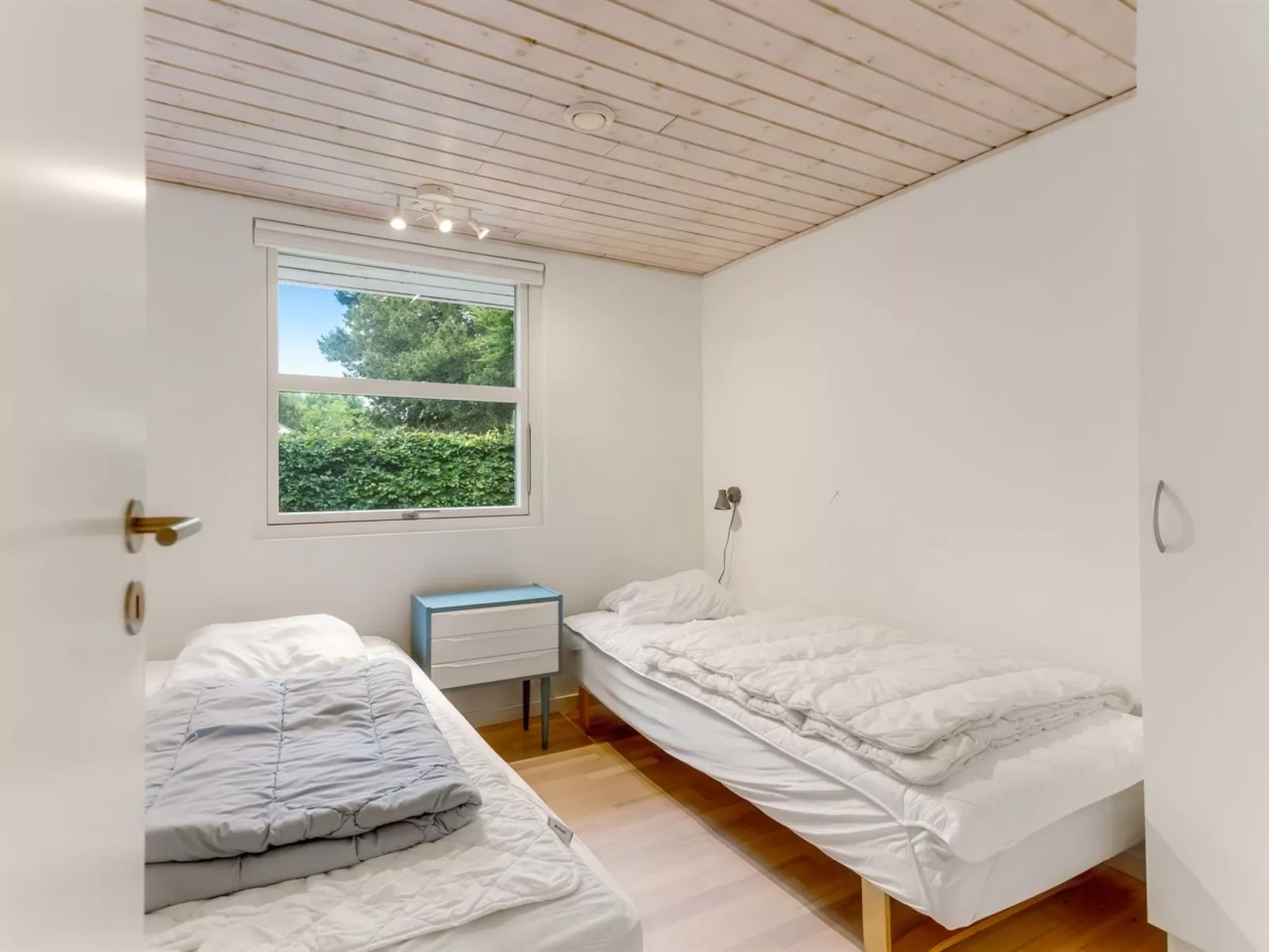 "Alica" -  from the sea-Binnen