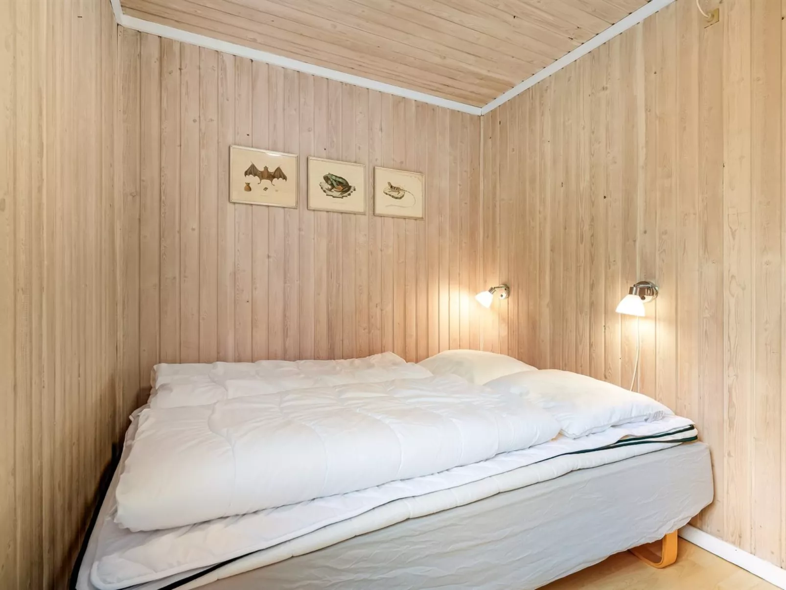 "Ellie" - 500m from the sea-Binnen