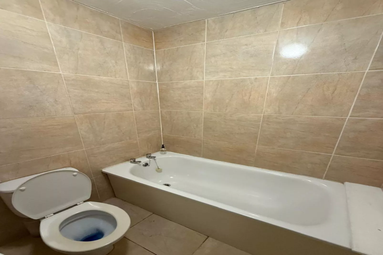 Standard Twin Room-Badkamer