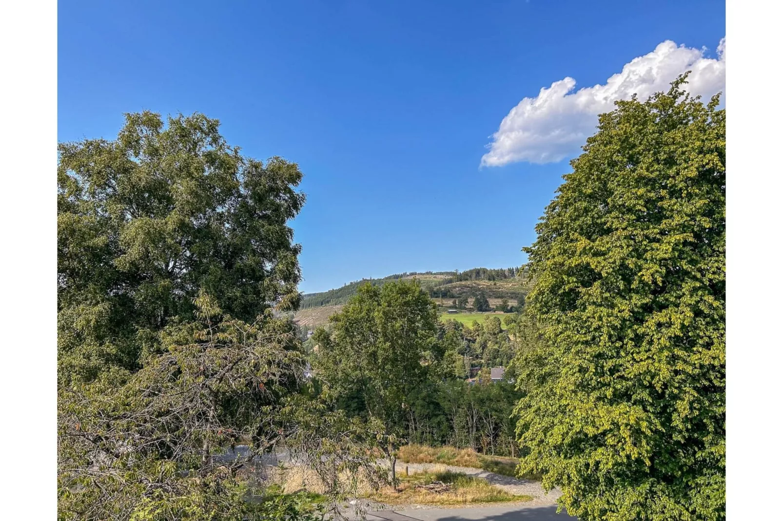 Residenz Zuschen A-Uitzicht zomer