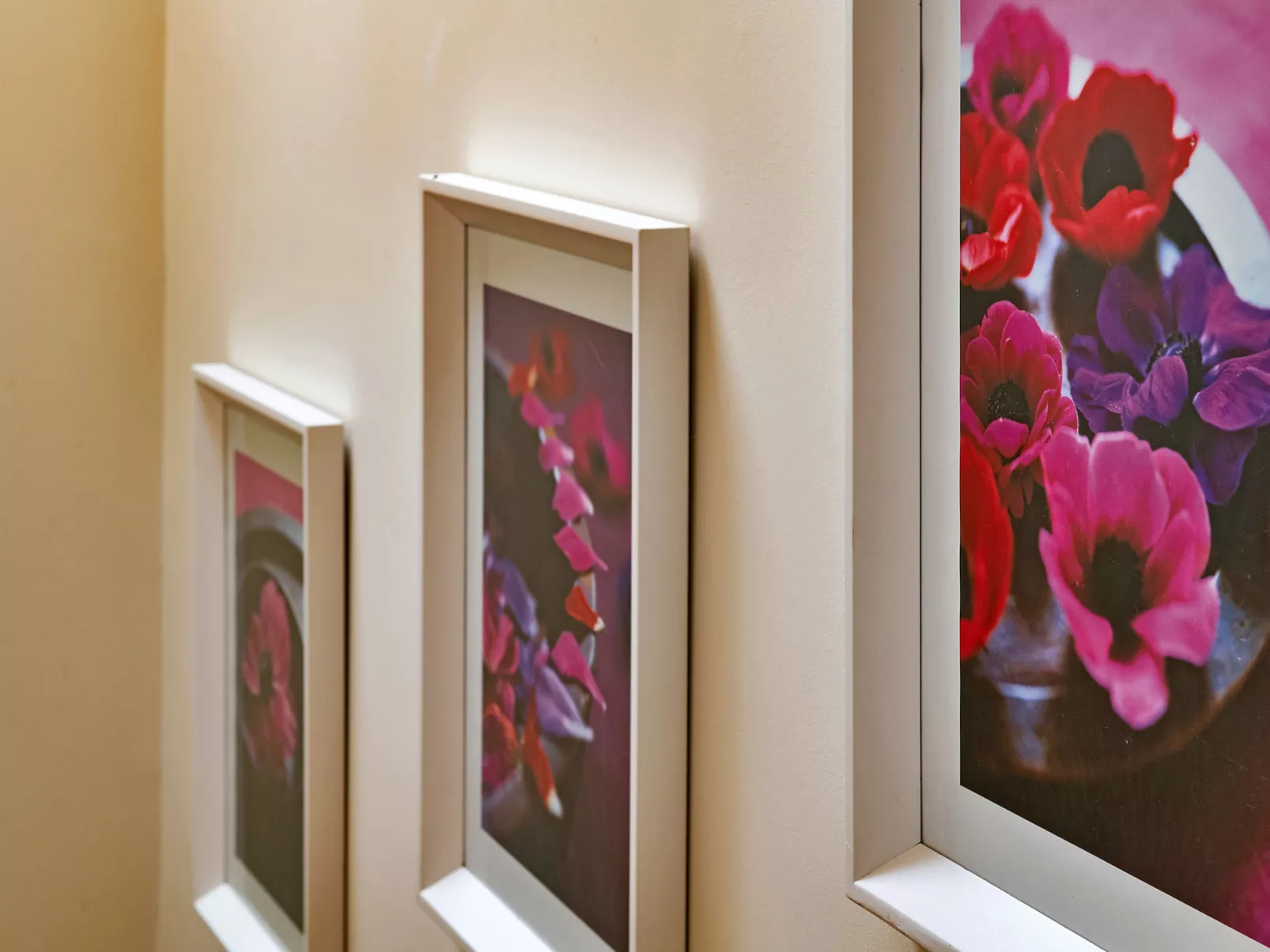 Buzzards View-Binnen