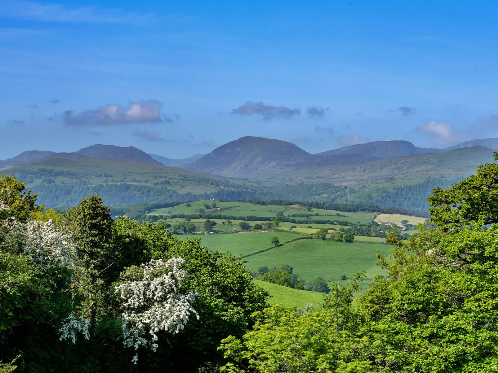 Red Kites Retreat-Buiten