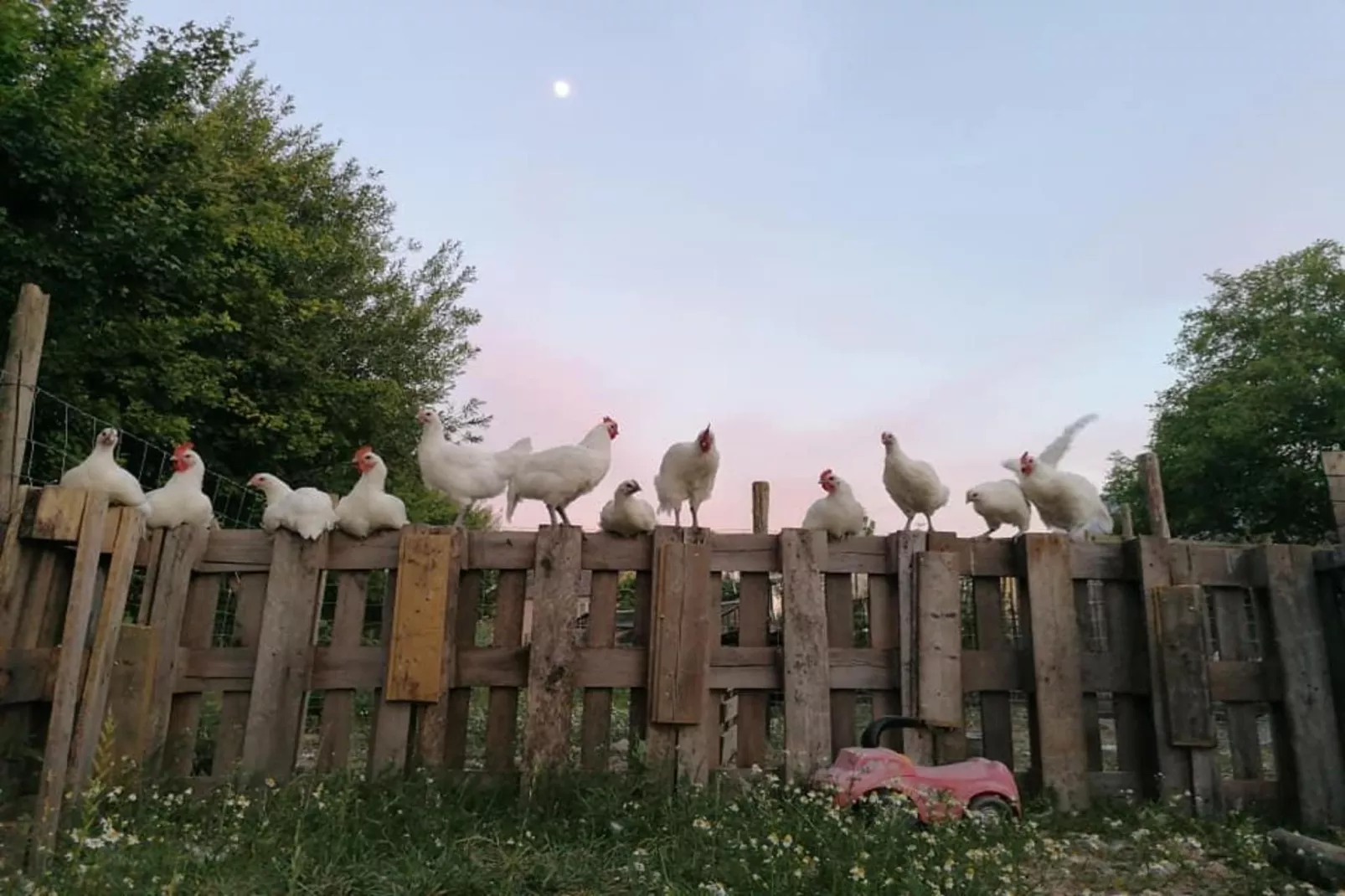 Karper studio-Faciliteiten