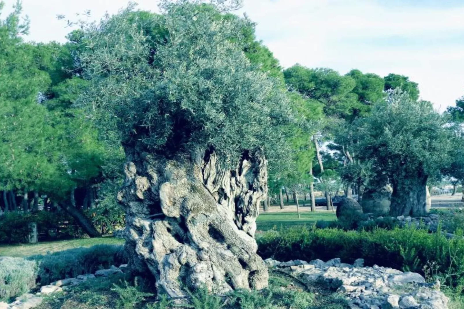 One Bedroom Apartment (A1)-Buitenlucht