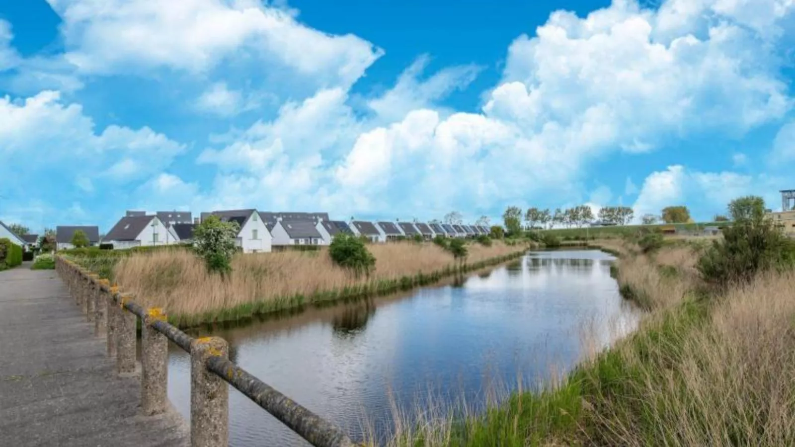 Nieuwendamme 108-Gebieden zomer 1km