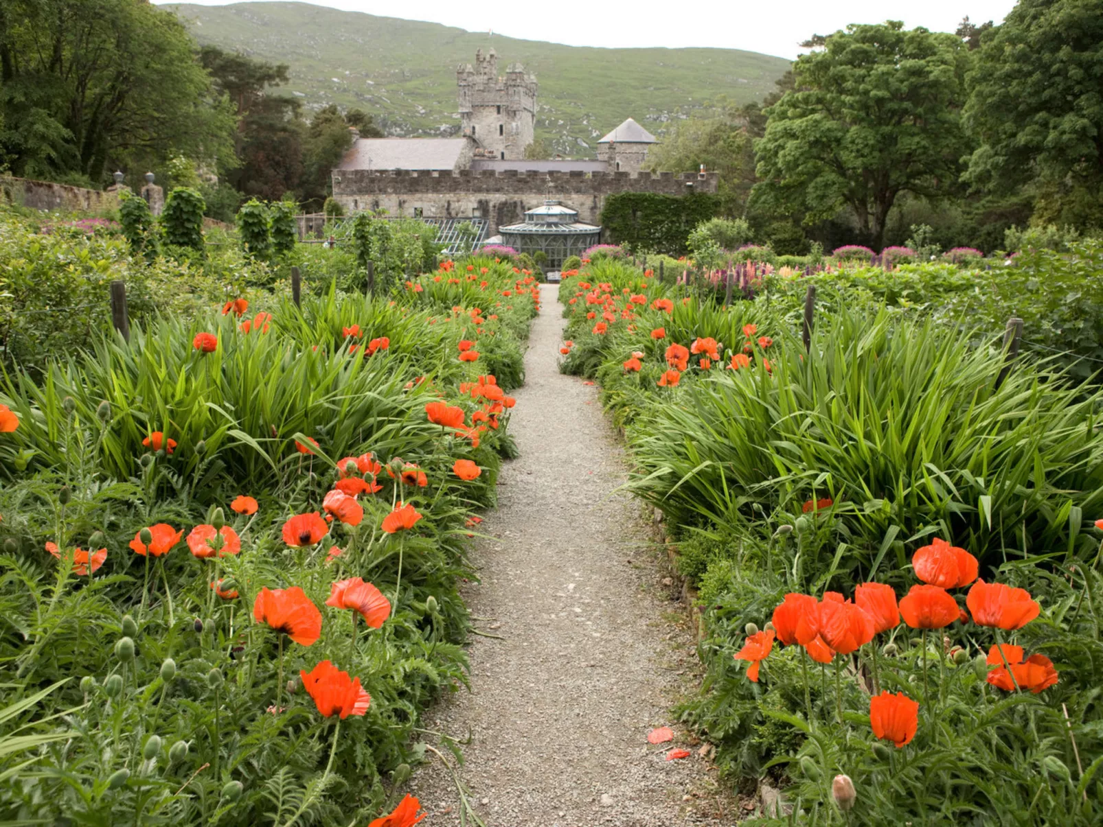 Anchor Cottage Portsalon-Buiten