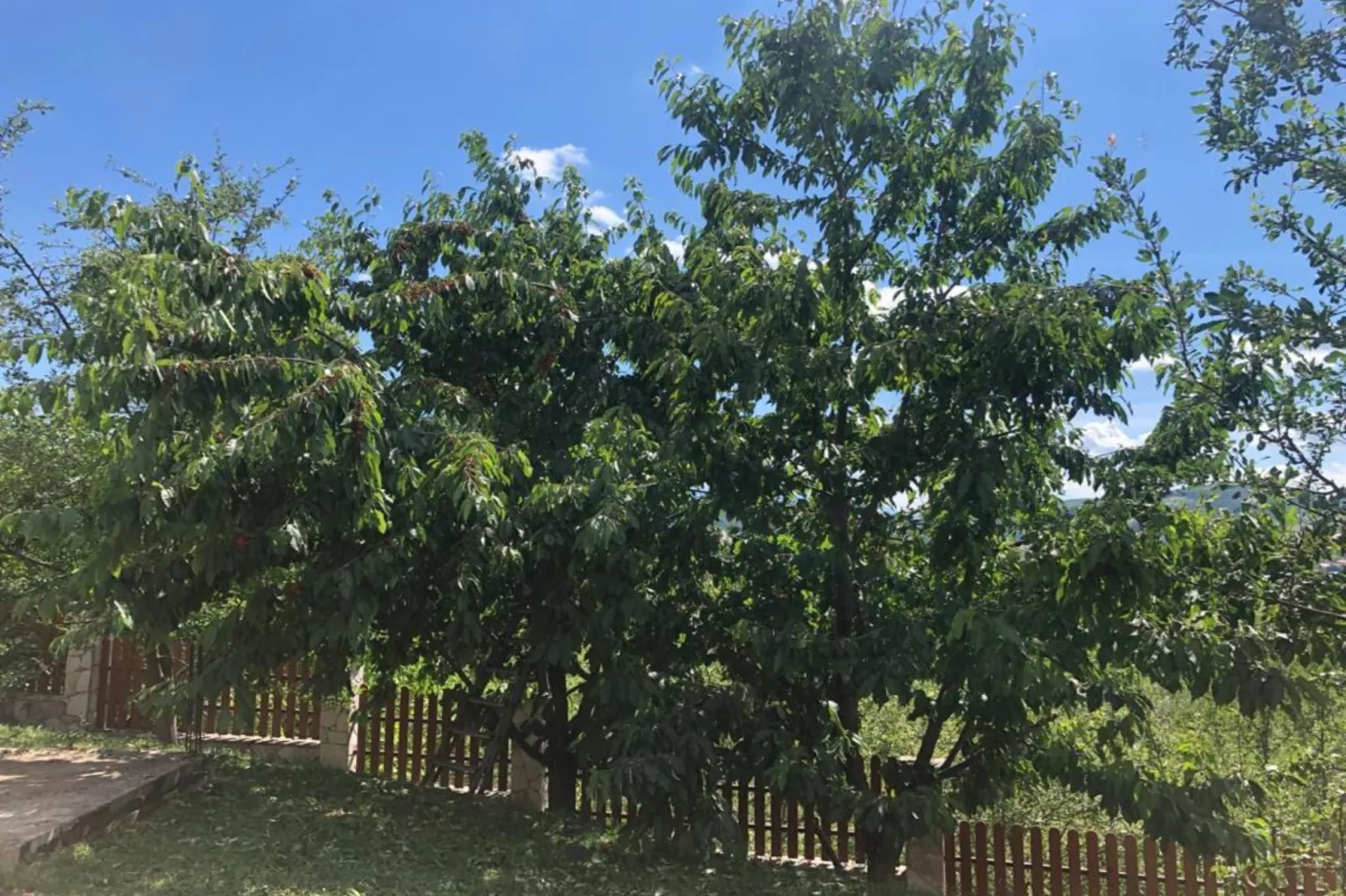 Villa Sarajevo Hills - Five Bedroom Villa with Terrace and Garden-Tuinen zomer