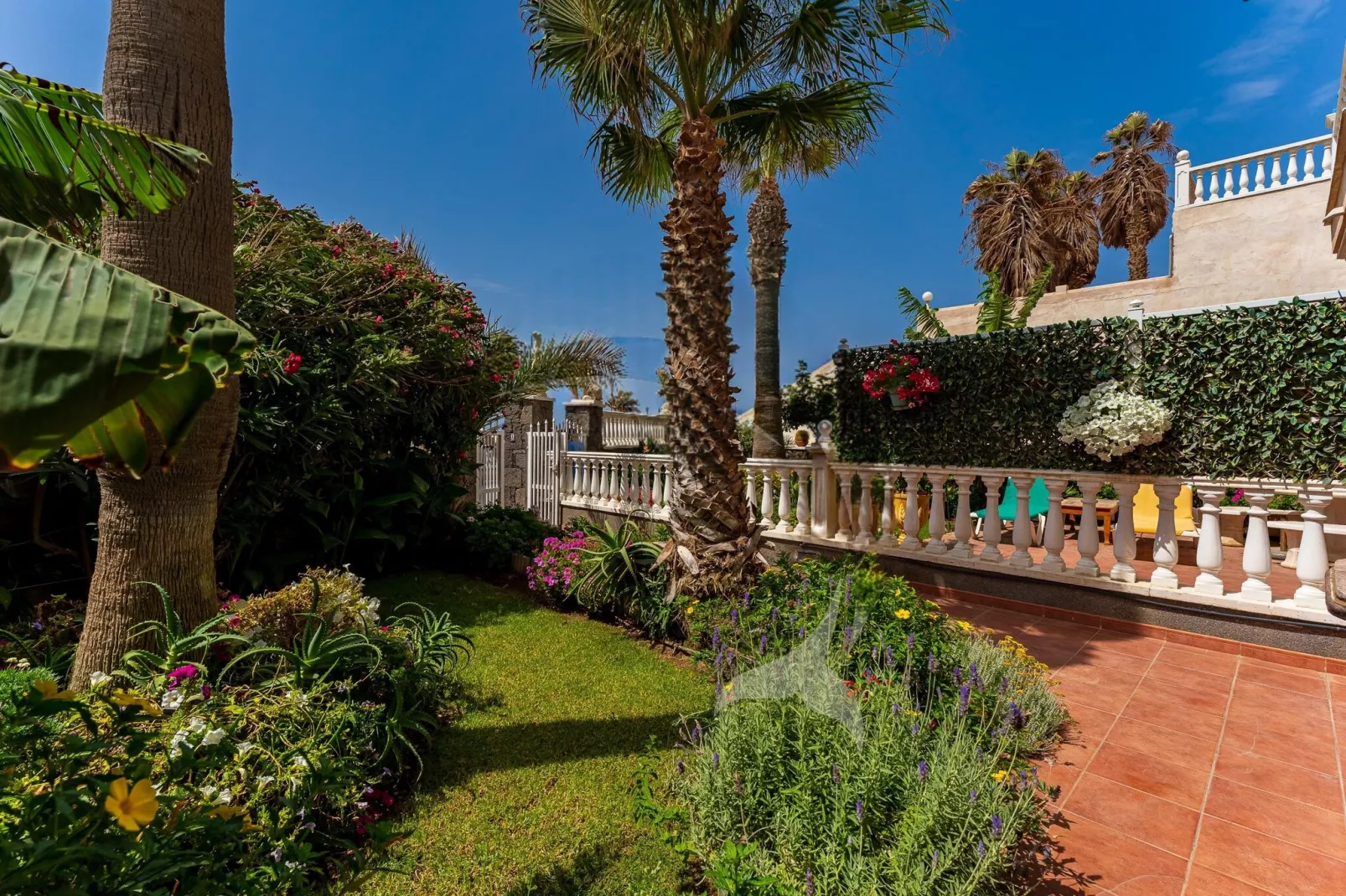 Delfin 101-Tuinen zomer