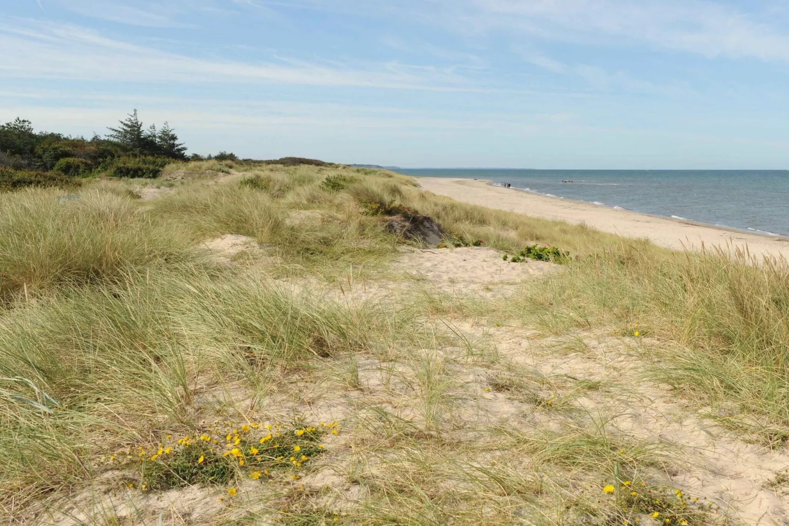 5 sterren vakantie huis in Frederiksværk-Niet-getagd