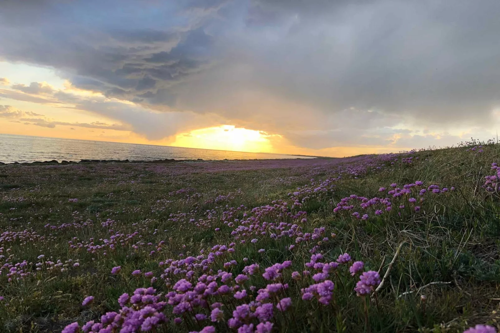 5 sterren vakantie huis in Rødby-Buitenlucht