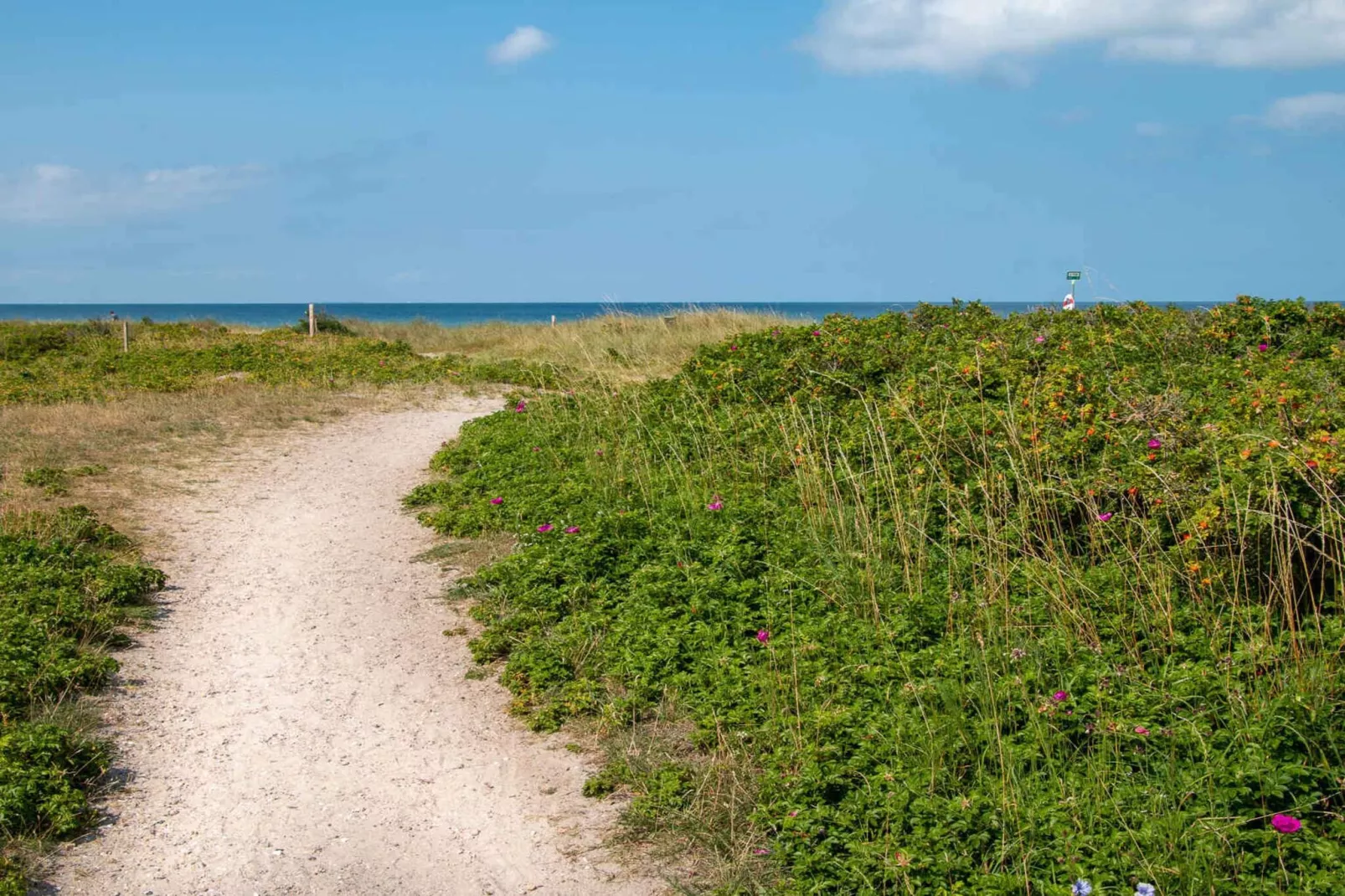 5 sterren vakantie huis in Store Fuglede