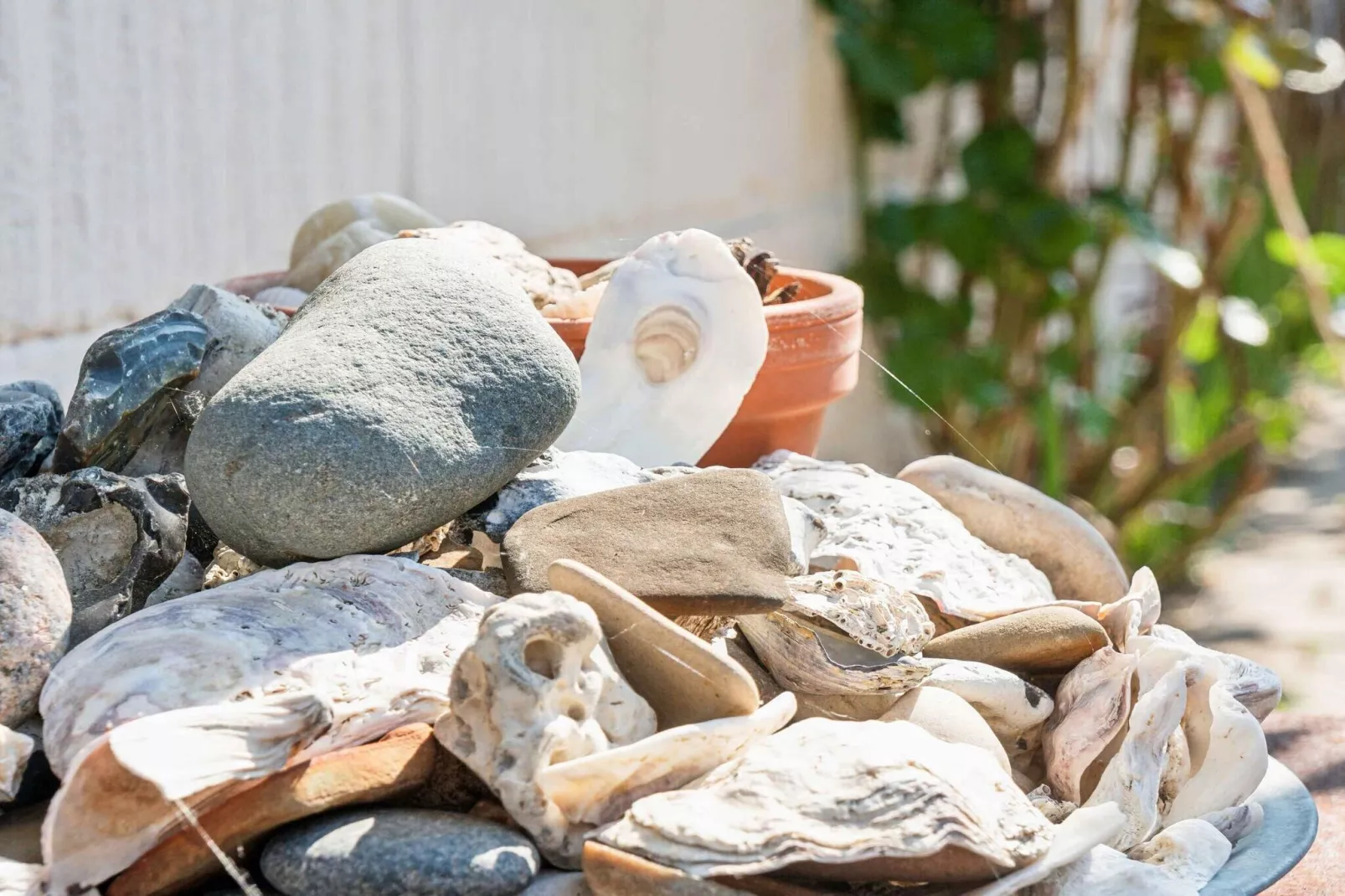 5 sterren vakantie huis in Farsø-Buitenlucht