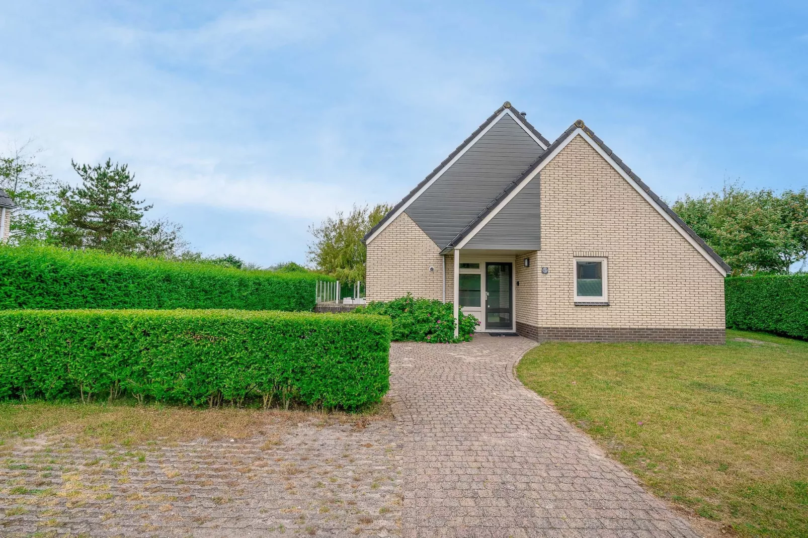 Kamperfoelie 67-Buitenkant zomer