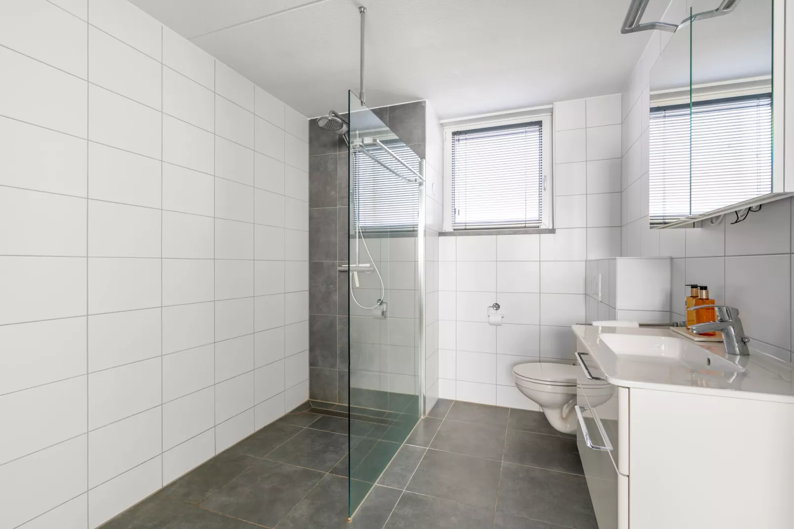 Hoogelandt 106F-Badkamer