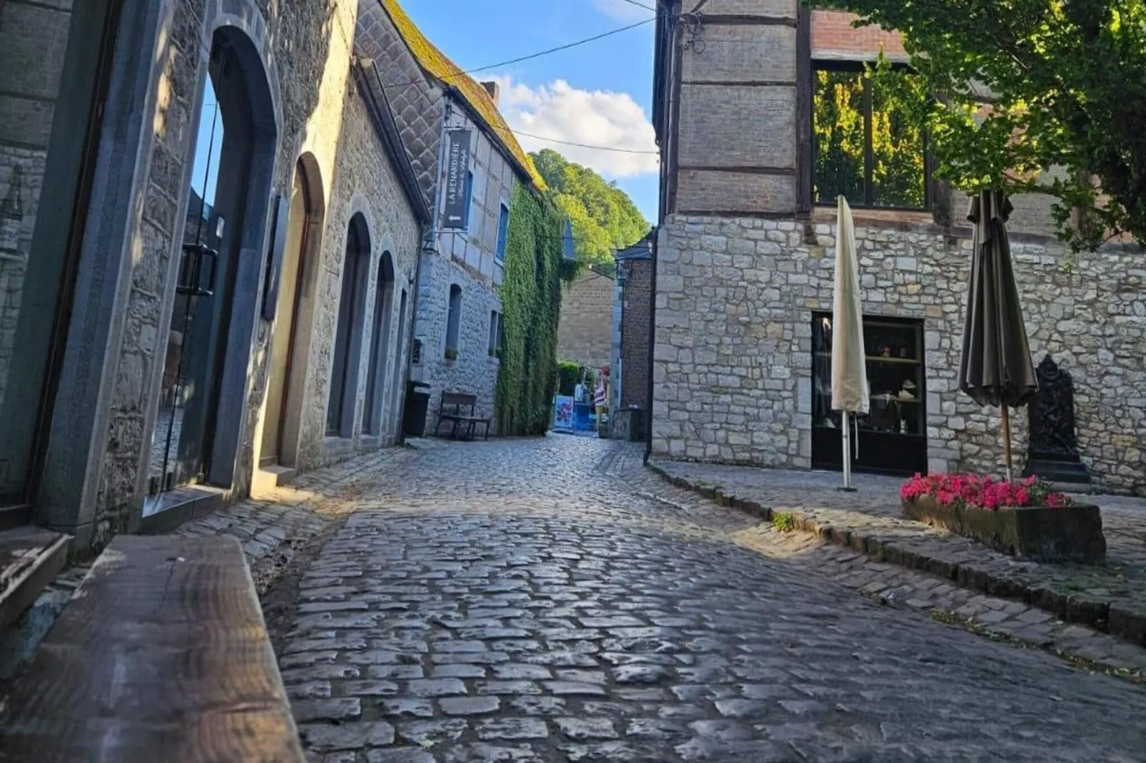 Le reflet de l’Ourthe-Gebieden zomer 1km