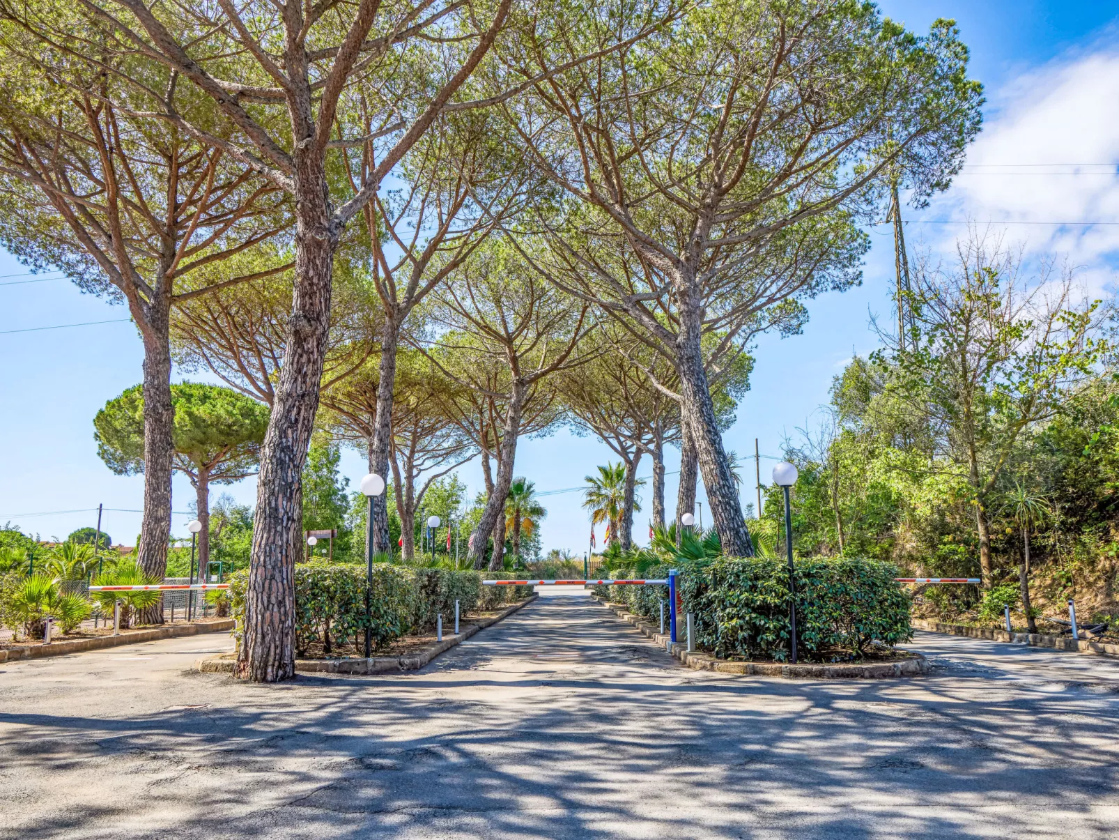 Costa D'Argento-Buiten