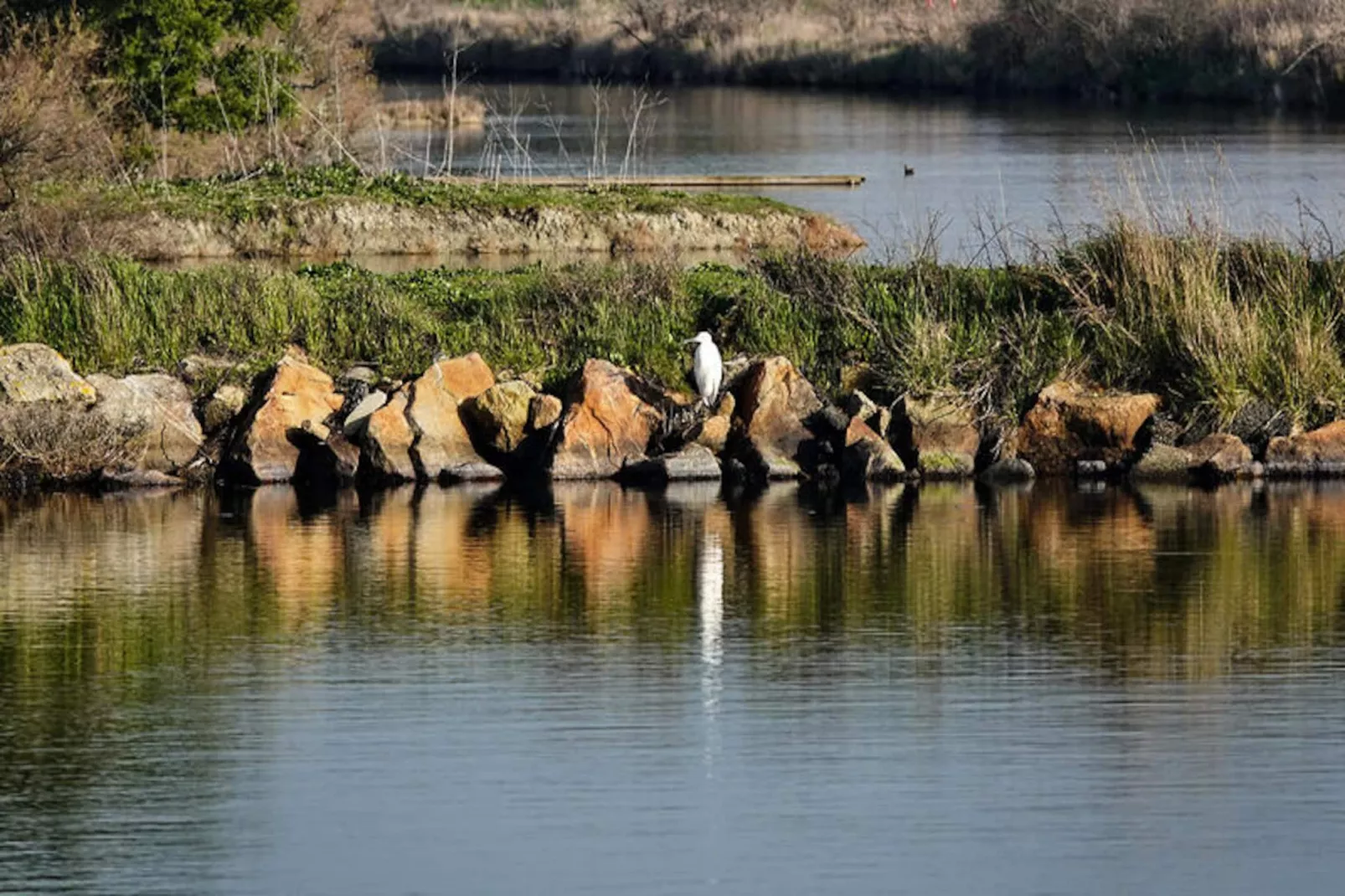 Appartements à Saint-Gilles-Croix-de-Vie-Niet-getagd