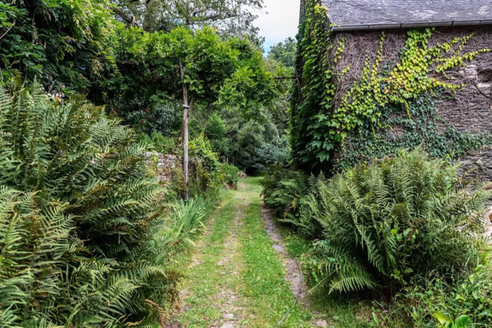 Maison à Rochefort-en-Terre-Niet-getagd