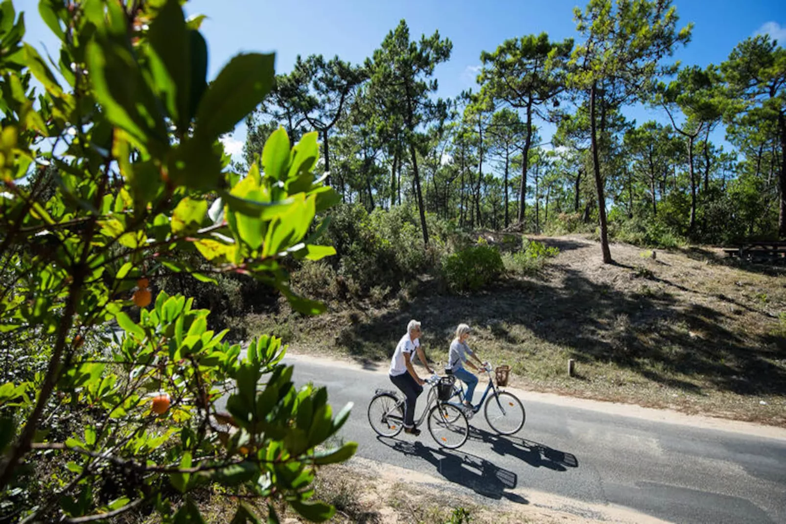 Maison à Noirmoutier-Niet-getagd