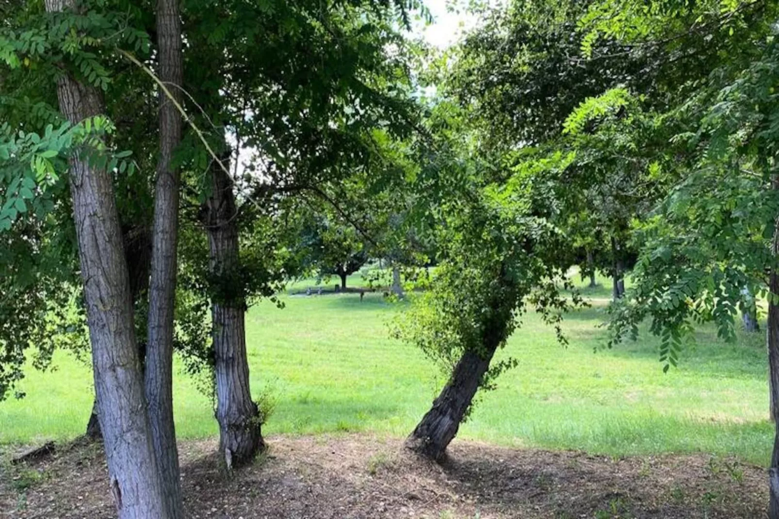 Maison Cosy Lodge, 15 P, Clim, Wifi, Cour, Garage-Niet-getagd