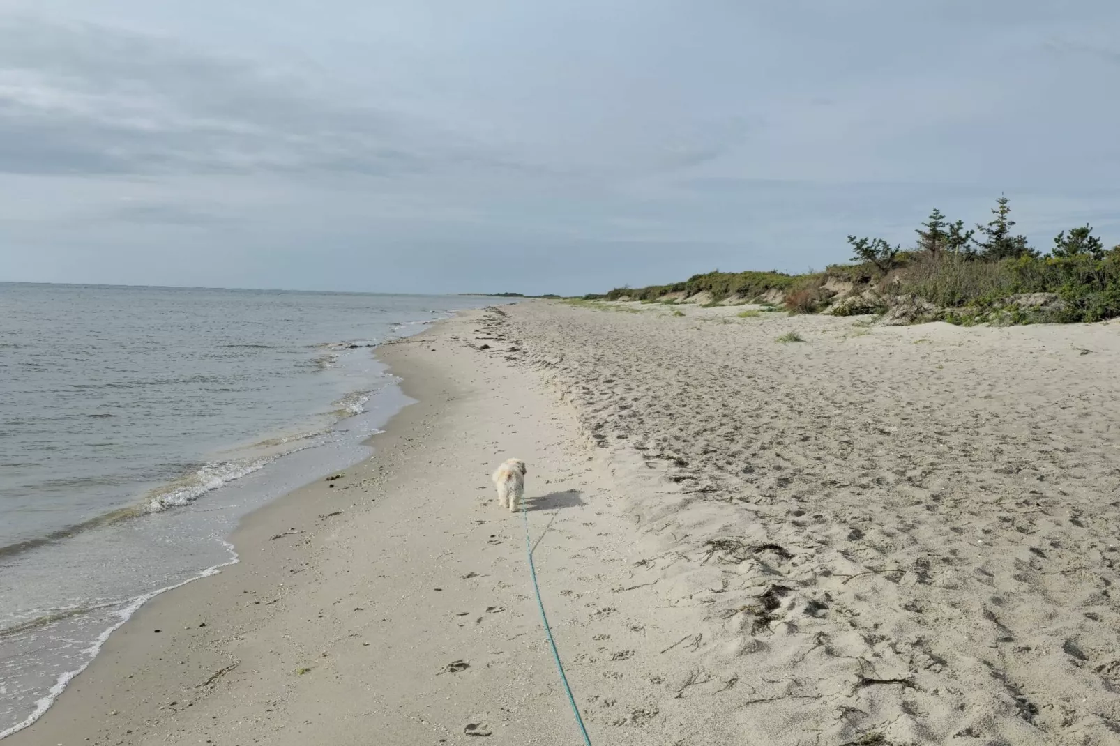 6 persoons vakantie huis in Sæby-Waterzicht