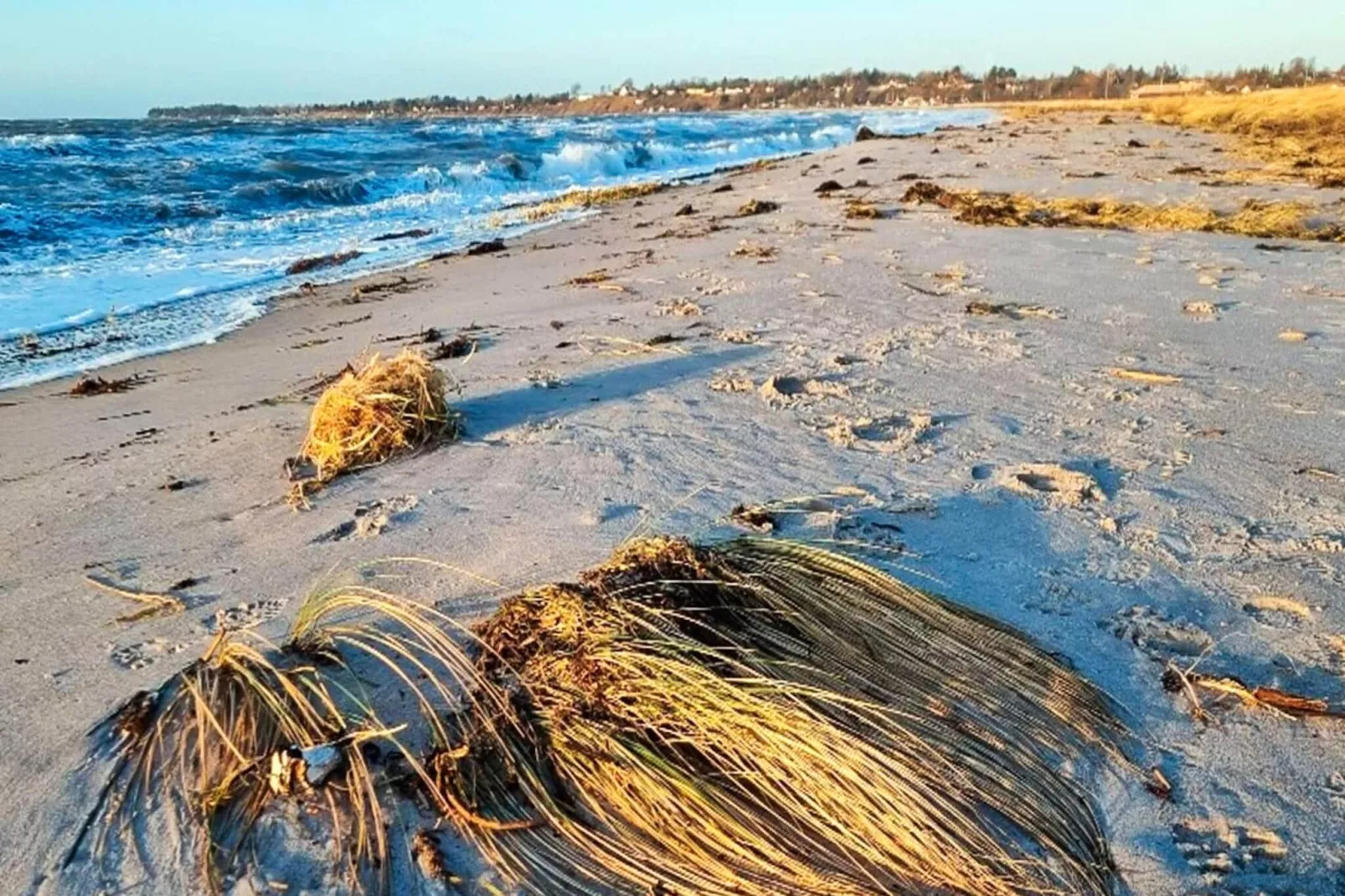 10 persoons vakantie huis in Slagelse-Waterzicht