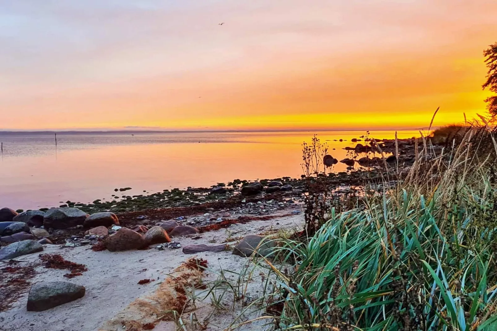 Panoramisch Strandtoevluchtsoord-By Traum-Waterzicht