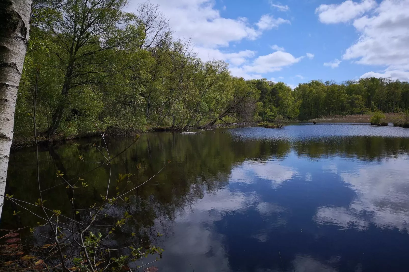 6 persoons vakantie huis in Stubbekøbing-By Traum-Waterzicht