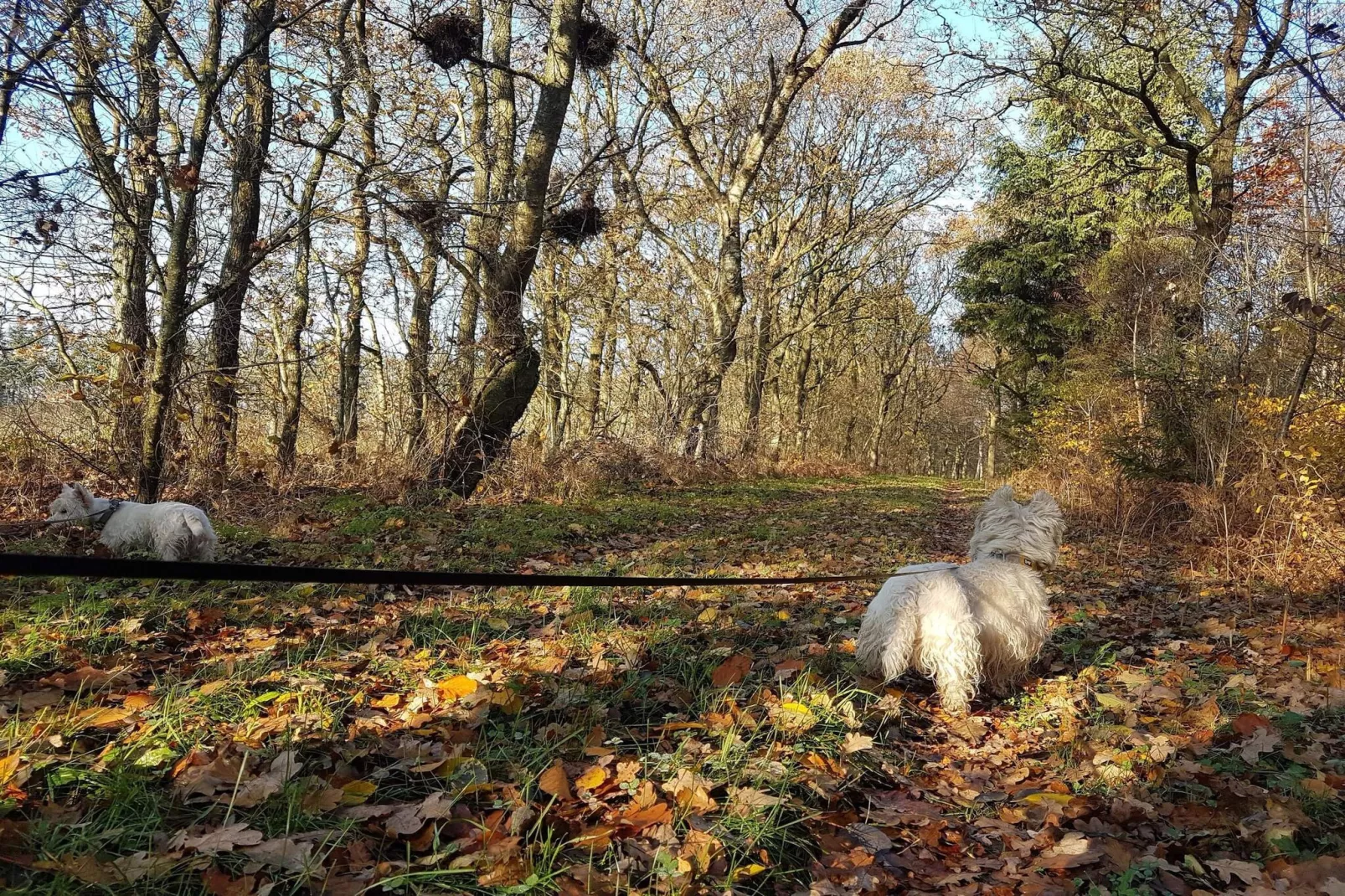 6 persoons vakantie huis in Toftlund-By Traum-Waterzicht