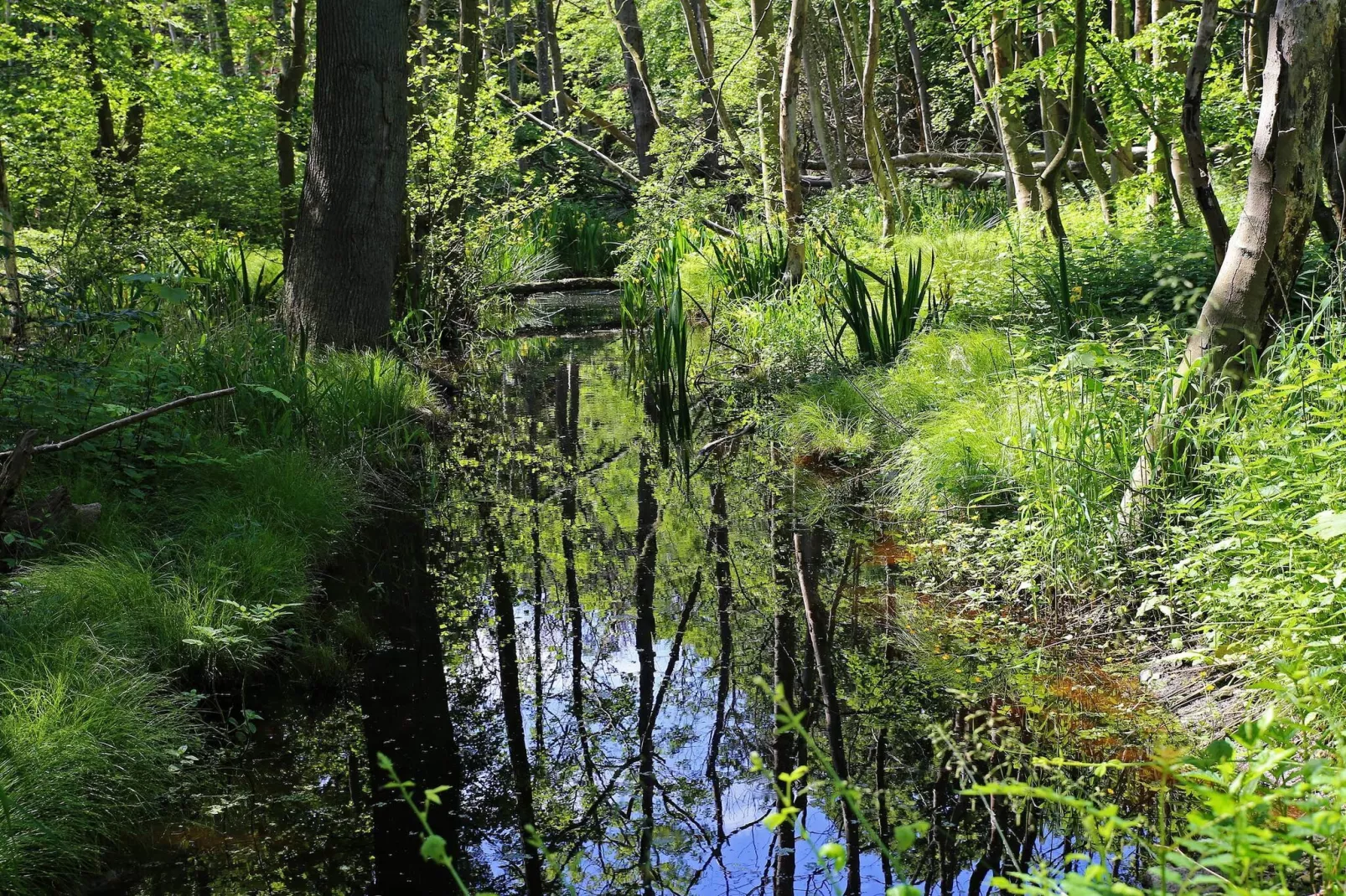 Luxe zwembadvilla in Lohals -- By Traum Ferienwohnungen-Waterzicht