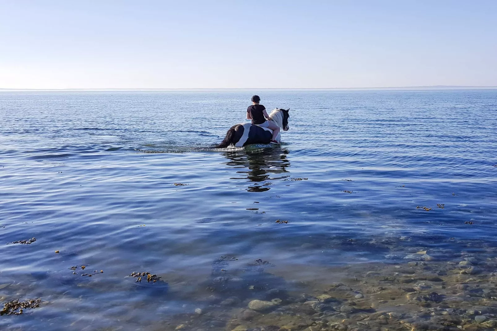 Rustig toevluchtsoord in Bogense -- By Traum Ferienwohnungen-Waterzicht