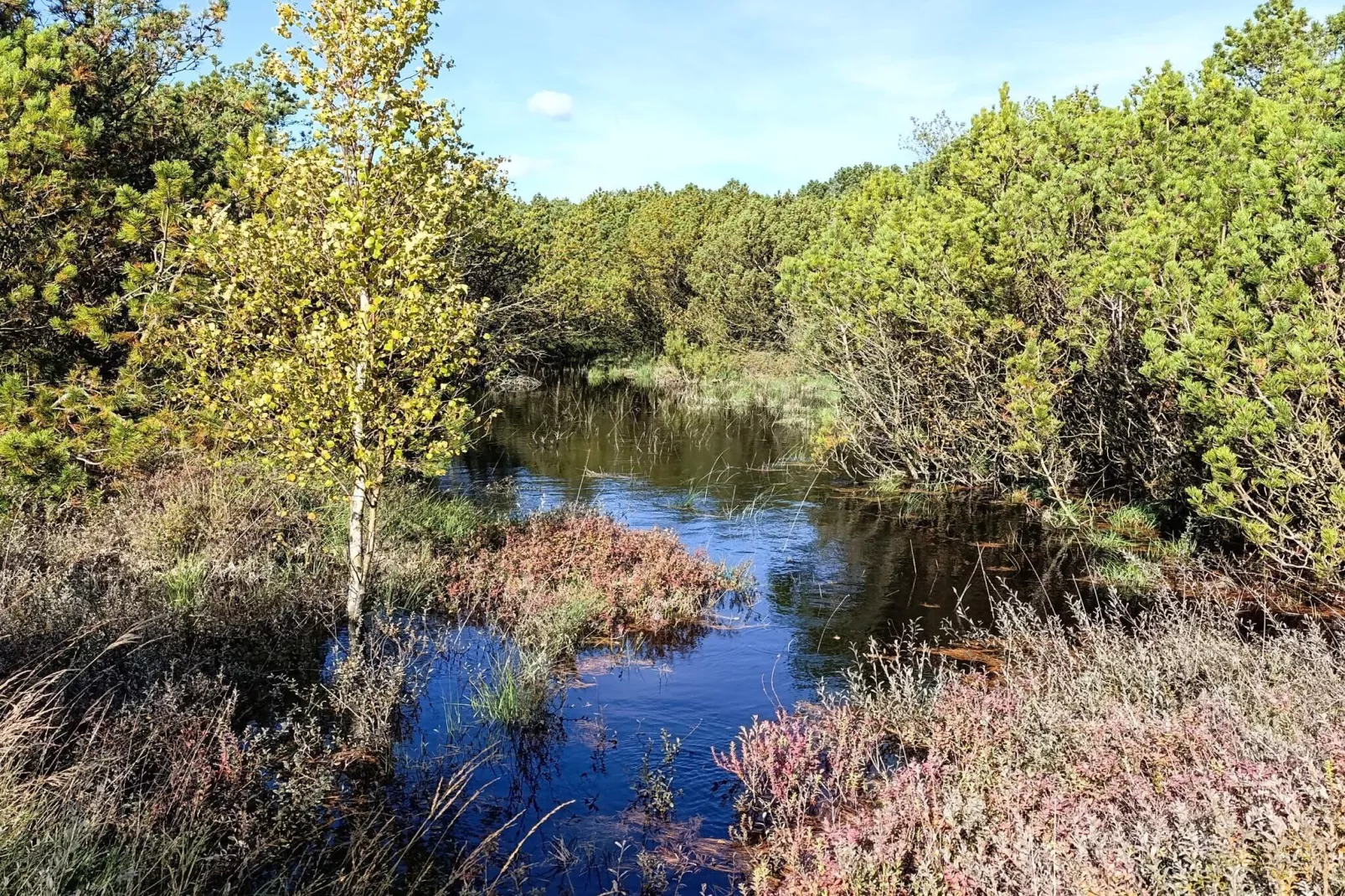 8 persoons vakantie huis in Rømø-By Traum-Waterzicht