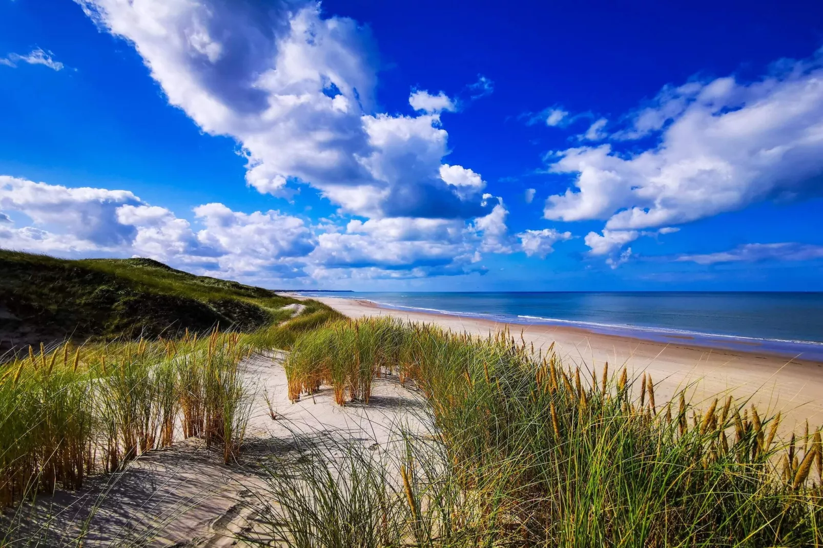 6 persoons vakantie huis in Hirtshals-By Traum-Waterzicht