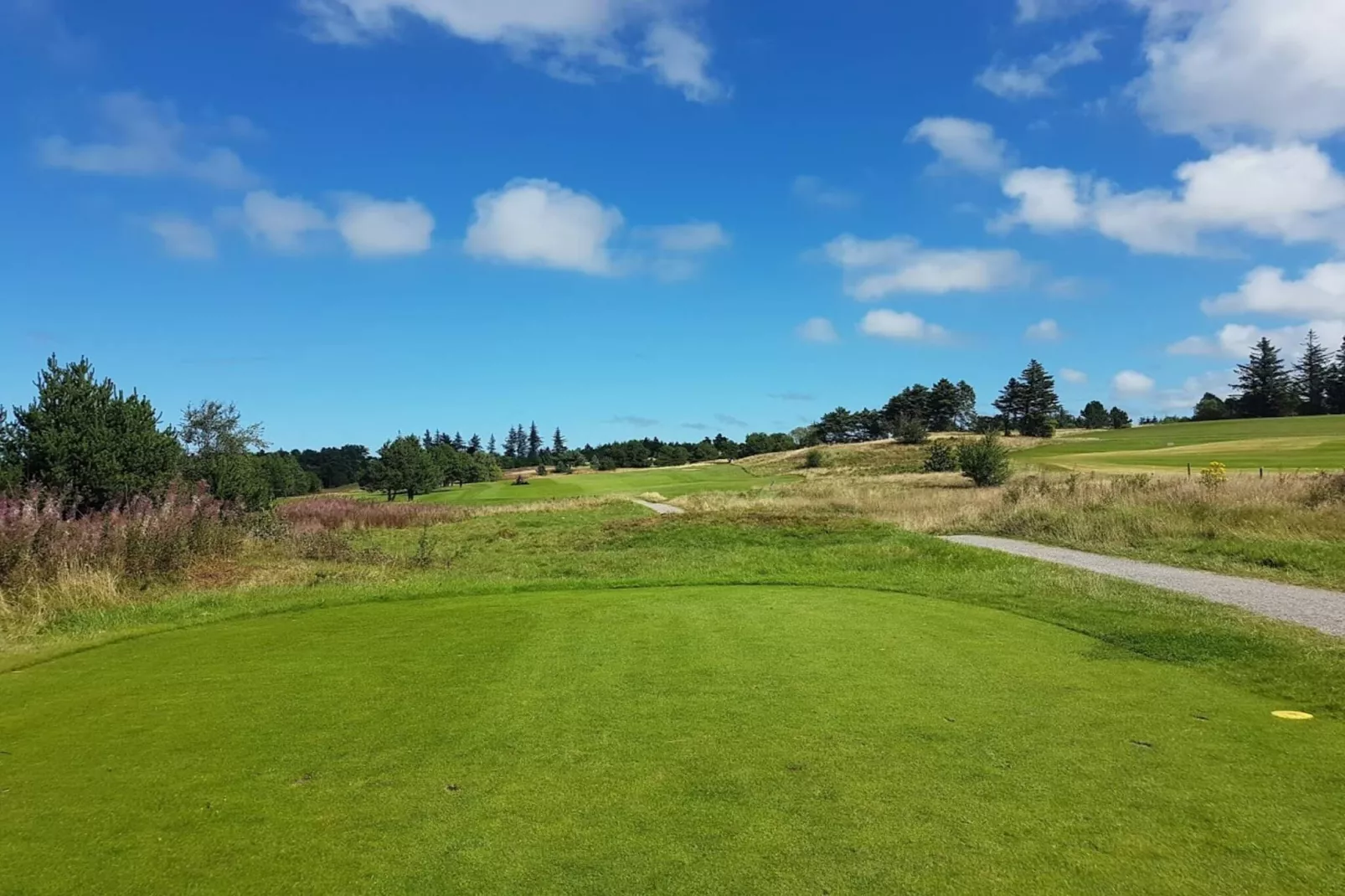 6 persoons vakantie huis in Fjerritslev-By Traum-Niet-getagd