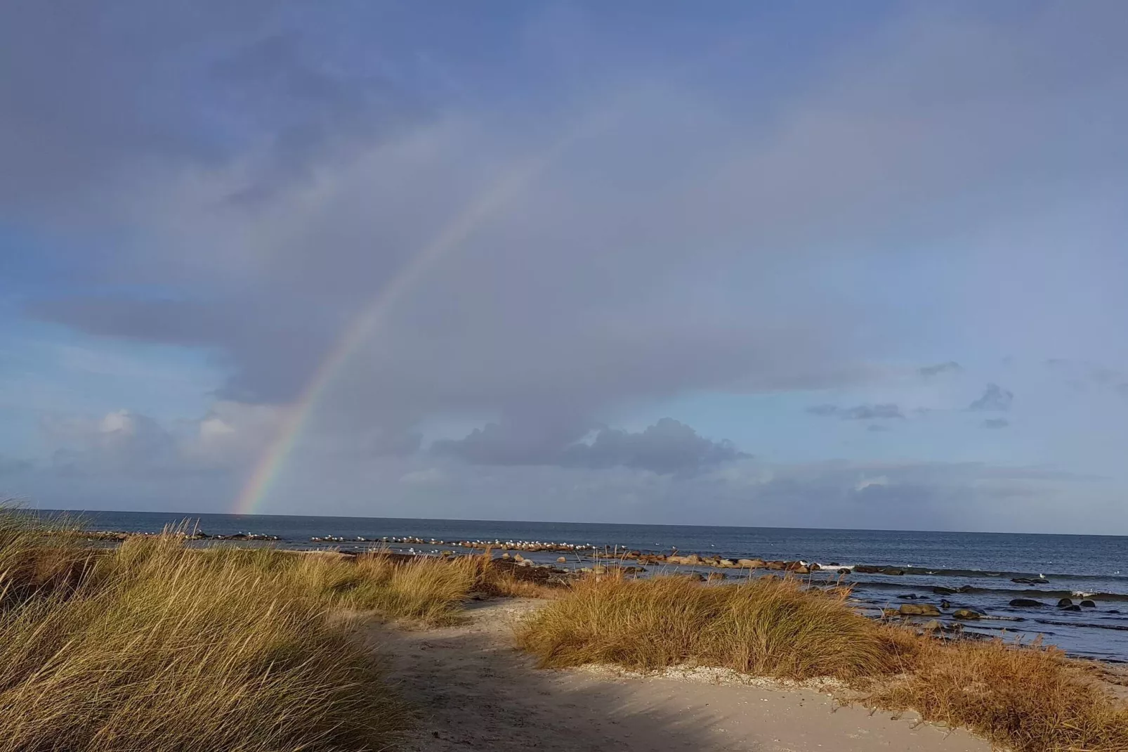 8 persoons vakantie huis in Jerup-Waterzicht