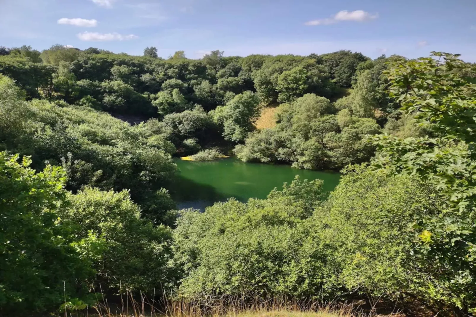 8 persoons vakantie huis in Gjern-By Traum