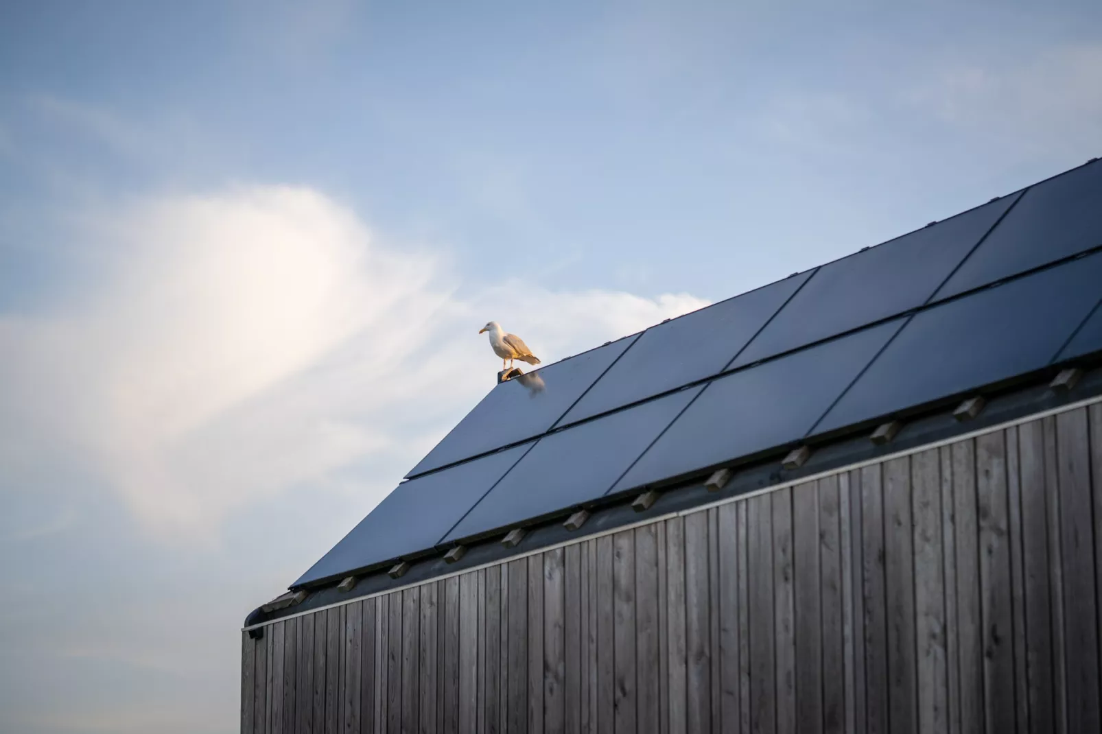 Eco Resort Grevelingenstrand-Sfeer