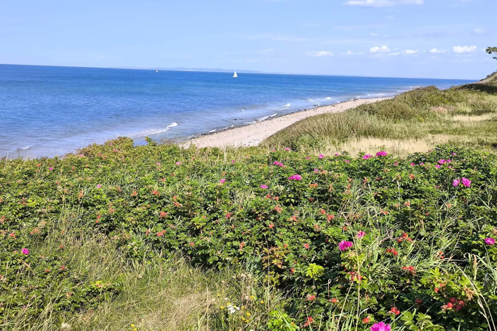 5 persoons vakantie huis in Gilleleje-By Traum-Waterzicht