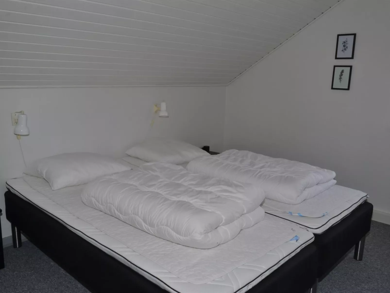 "Auti" - 2.3km from the sea - Binnen
