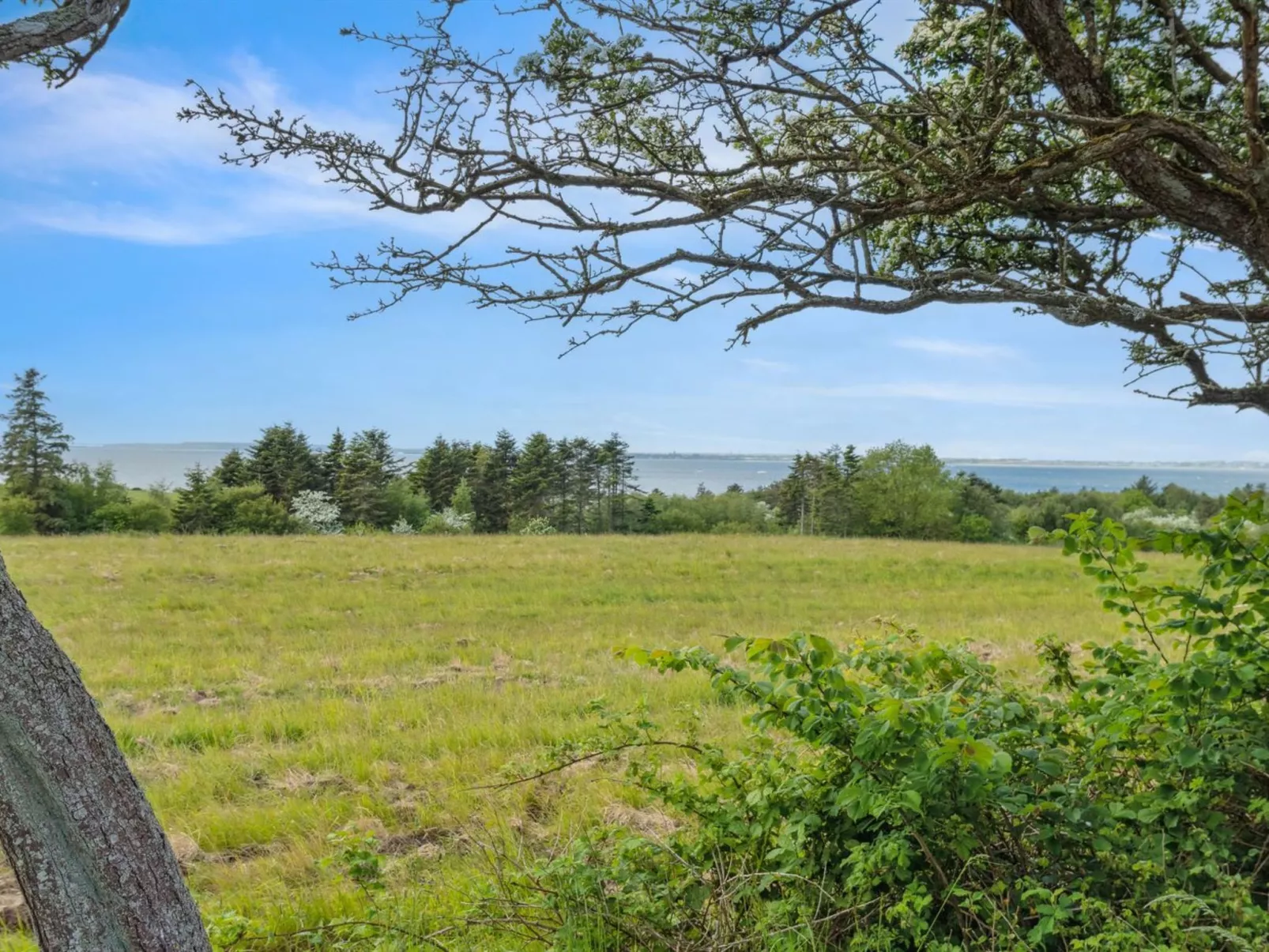 "Althea" - 750m to the fjord-Buiten