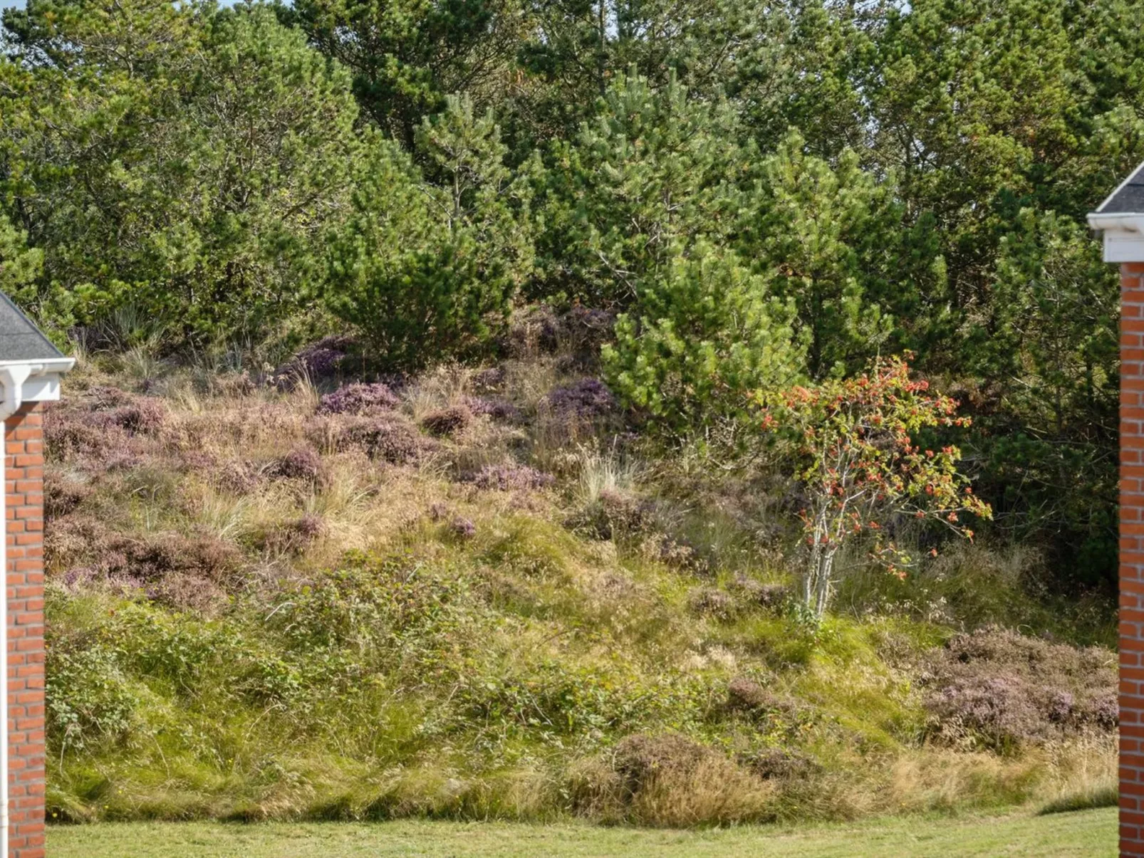 "Maylin" - 2.3km from the sea-Buiten