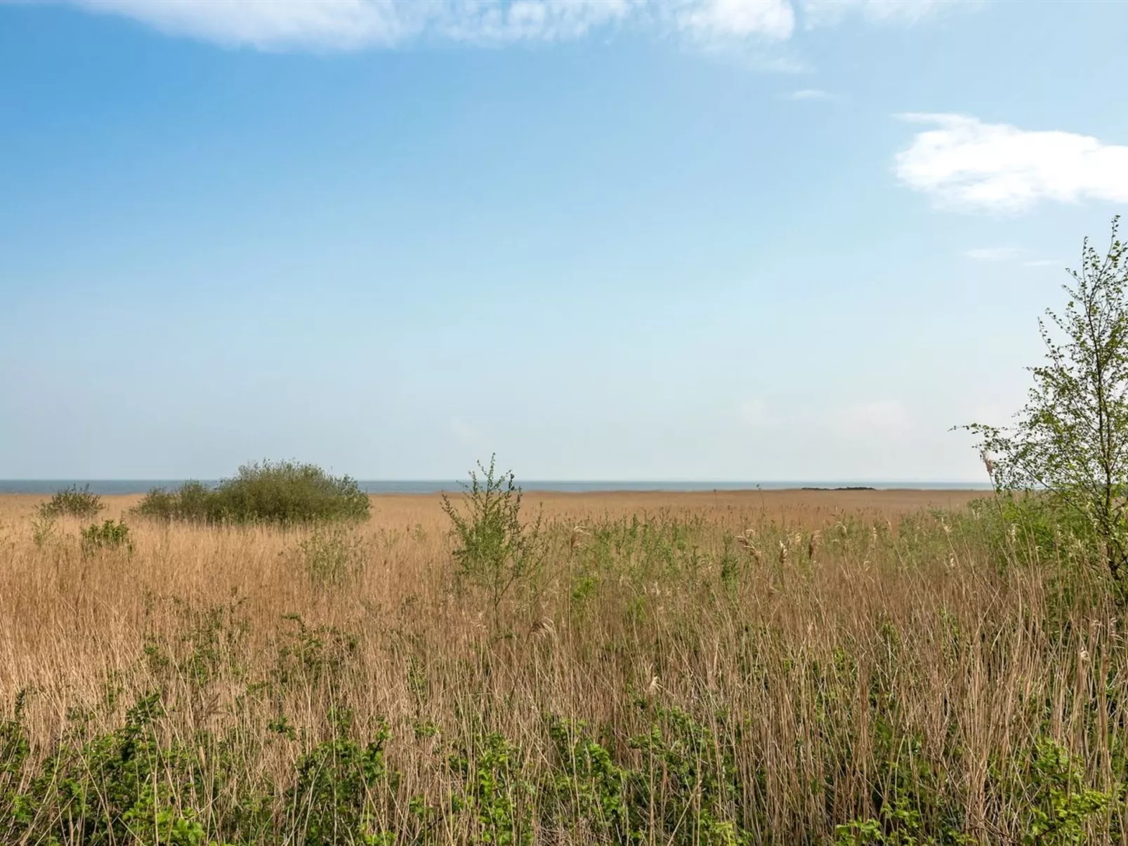 "Solvey" - 2km from the sea-Buiten