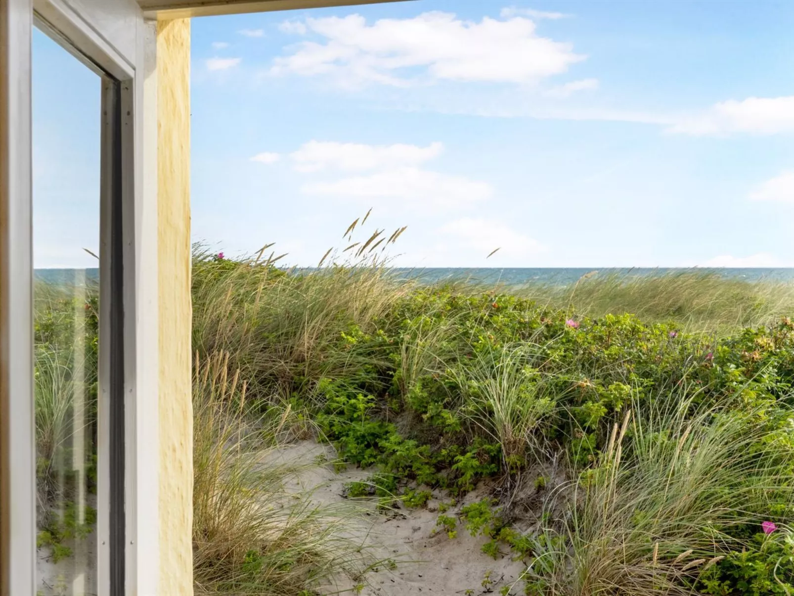 "Ebba" - 25m from the sea-Buiten