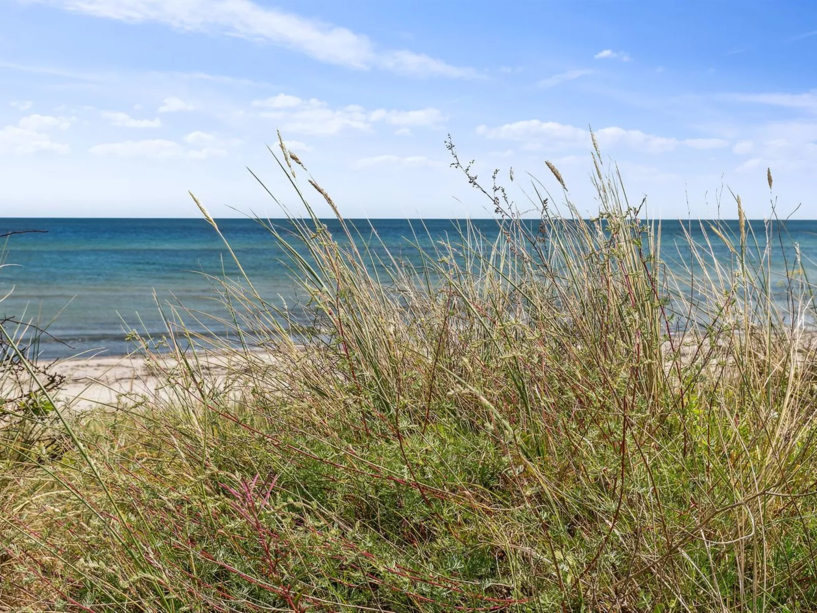 "Margit" - 10m from the sea-Buiten