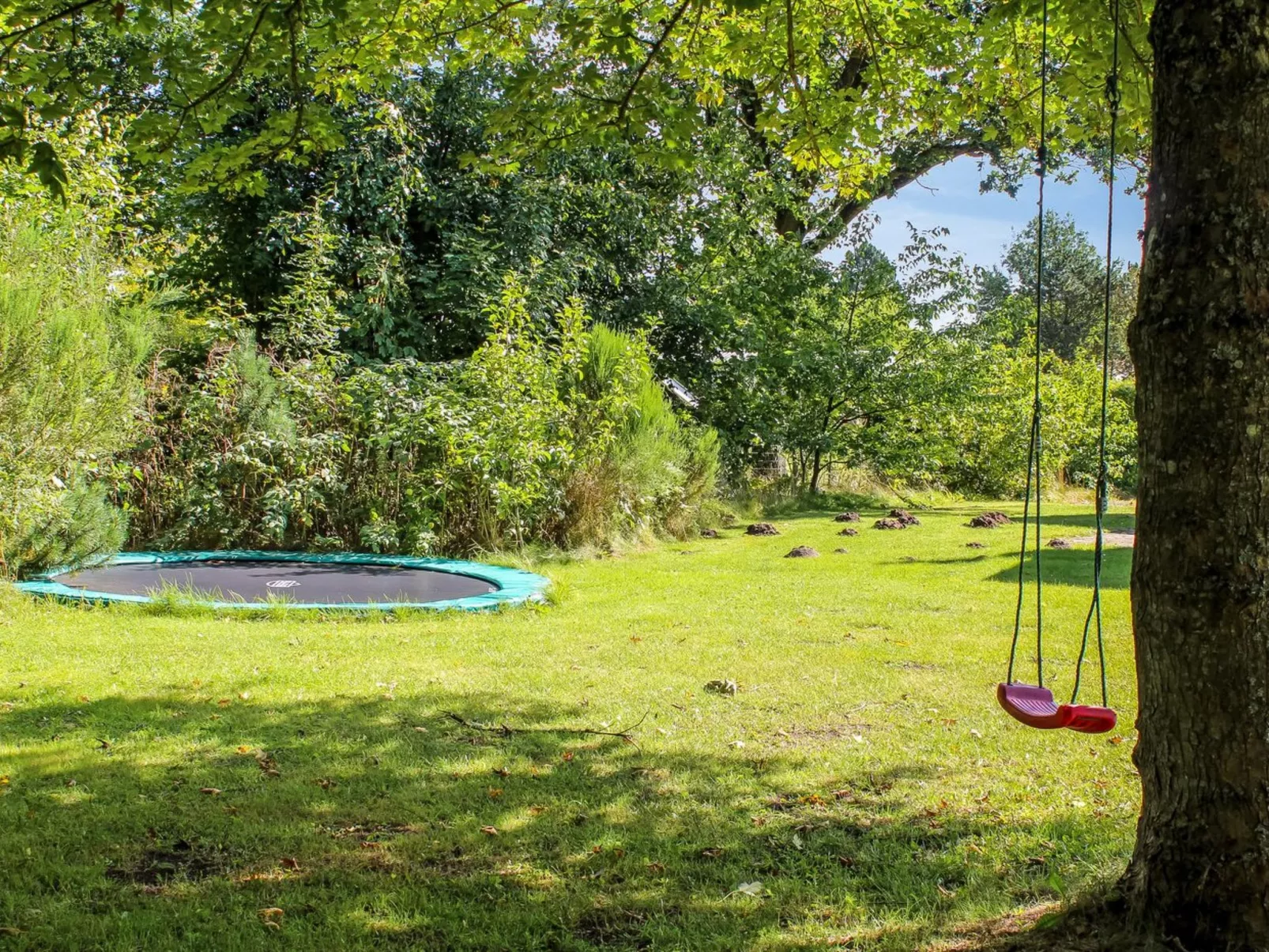 "Swale" - 500m from the sea-Buiten