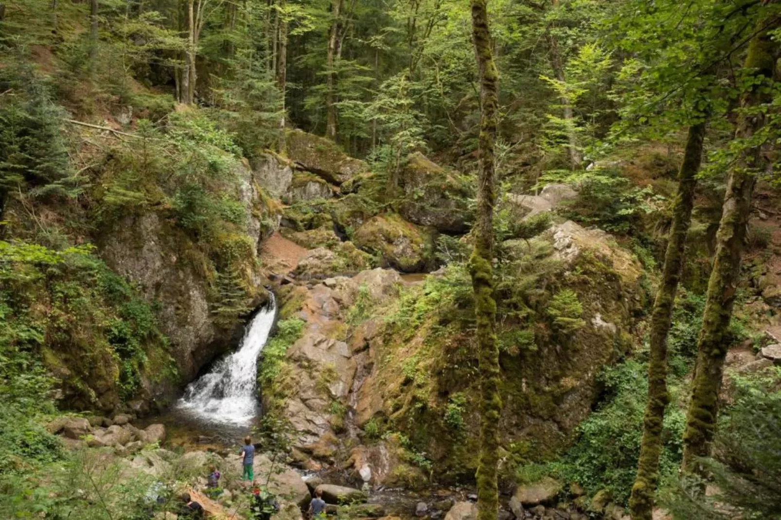 Domaine Des Messires 2-Gebieden zomer 5km