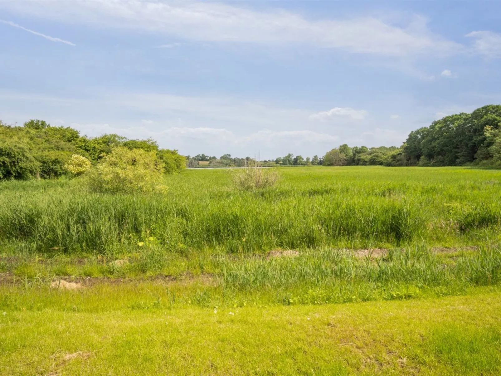 "Henryk" - 75m from the sea-Buiten